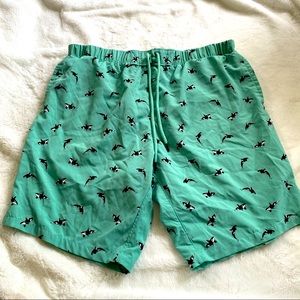 Killer Whale Swim trunks Large